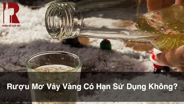 Rượu mơ vảy vàng có hạn sử dụng không - cách uống và bảo quản
