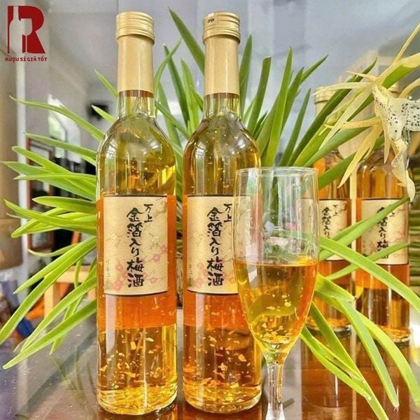 Hướng dẫn cách bảo quản rượu mơ vảy vàng đúng