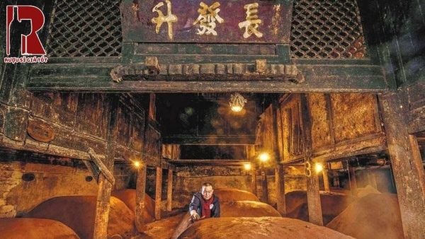 Rượu Ngũ Lương Dịch