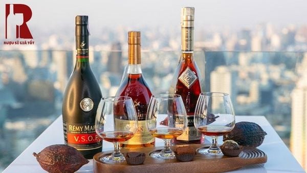 Remy Martin VSOP 1724 giá bao nhiêu? Có đắt hơn các dòng Remy Martin khác?