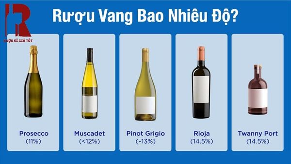 Rượu vang bao nhiêu độ? Nồng độ cồn của các loại vang đỏ, vang trắng bao nhiêu?