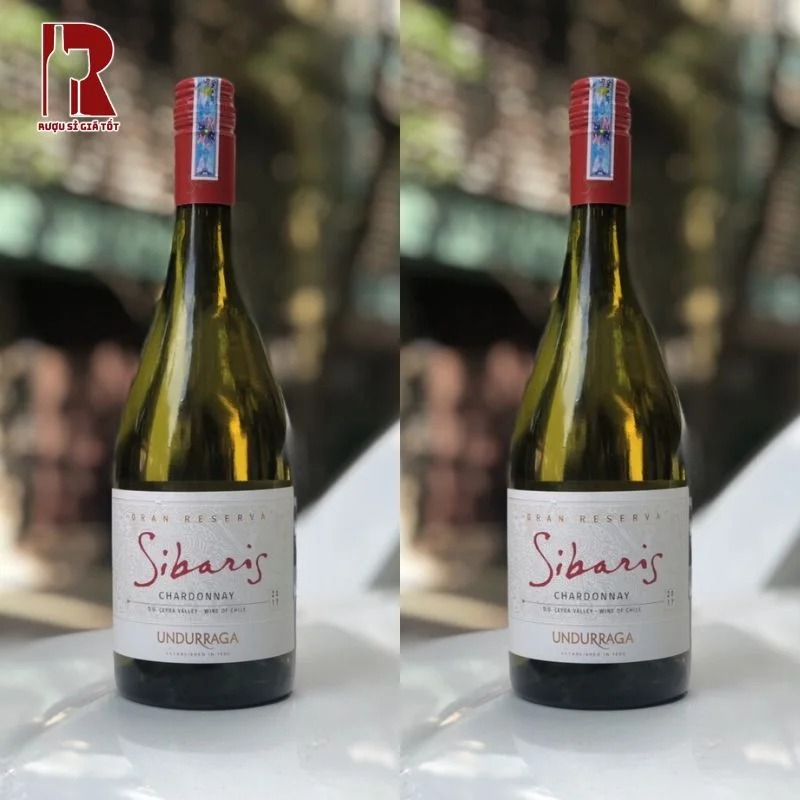 Rượu vang trắng Undurraga Sibaris Chardonnay nổi bật với hương thơm tươi mát của trái cây nhiệt đới
