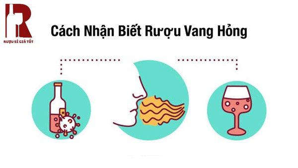 Cách nhận biết rượu vang đã hỏng