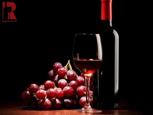 Rượu vang đỏ là biểu tượng của sự tinh tế và phong phú