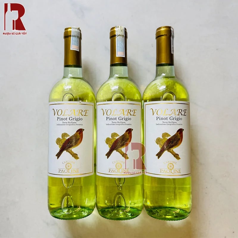 Rượu vang Ý trắng Paolini Volare Pinot Grigio cùng các tầng hương từ hoa quả tươi mát