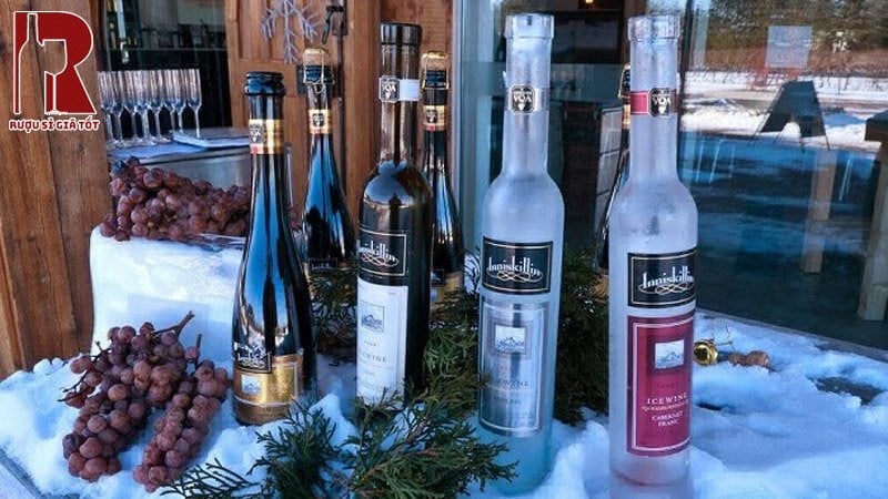 Top rượu vang tuyết Canada ngon giá rẻ