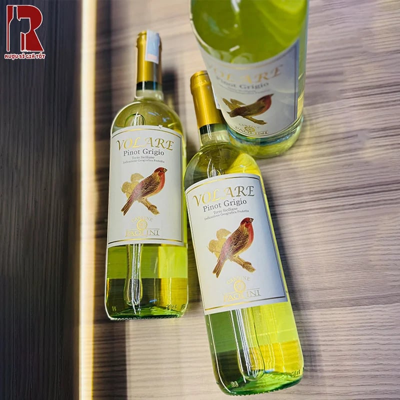 Rượu vang Ý trắng Paolini Volare Pinot Grigio mang theo hương thơm thanh lịch và màu sắc êm dịu