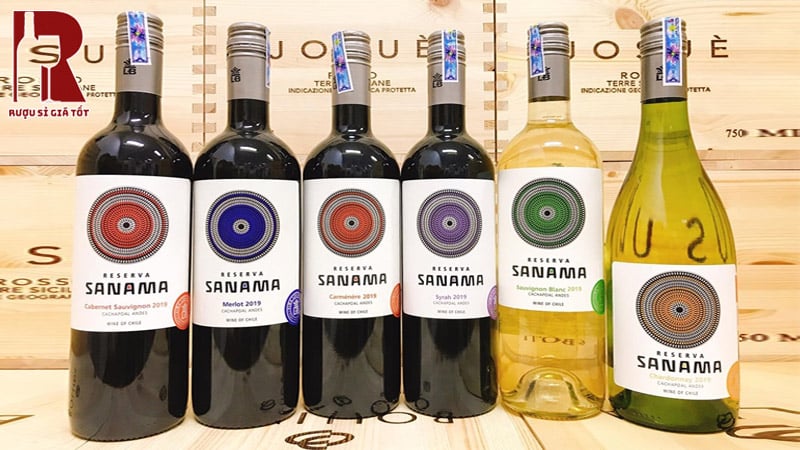 Sanama Reserva Sauvignon Blanc hoàn hảo để đi kèm với nhiều món ăn khác nhau