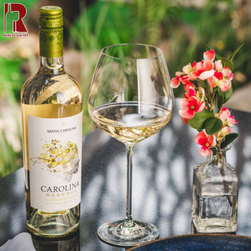 Vang Santa Carolina Reserva Sauvignon Blanc cao cấp và thanh tao