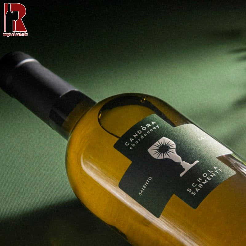 Giới Thiệu Về “Chén Thánh Xanh Lá” Candora Chardonnay Schola Sarmenti