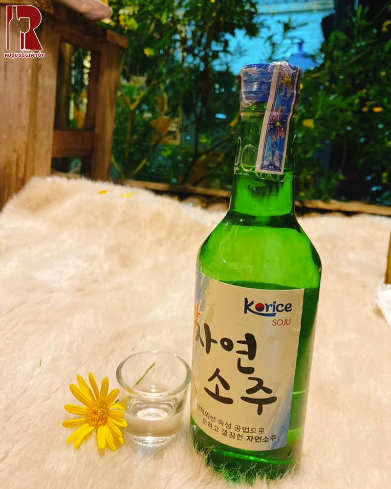Lợi Ích Khi Chọn Soju Korice Original