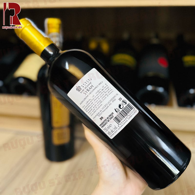 Trải Nghiệm Thưởng Thức Syrah 17 Regia Maesta Primitivo Puglia