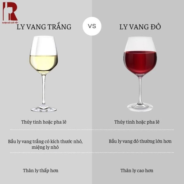 Cấu trúc rượu khác biệt giữa rượu vang trắng và đỏ