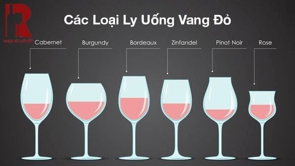 Một số kiểu dáng ly uống rượu vang đỏ