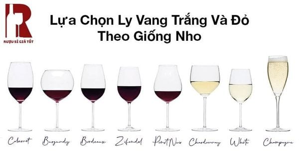 Chọn ly vang trắng và ly vang đỏ theo giống nho