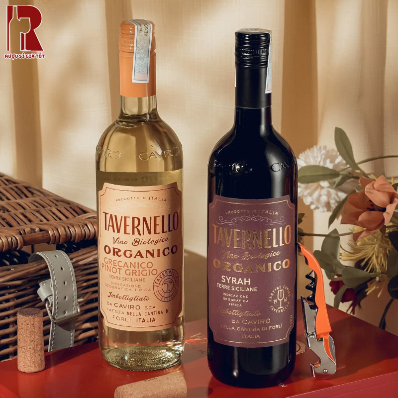 Tavernello Organico Grecanico Pinot Grigio Terre Siciliane dịu dàng, dễ chịu