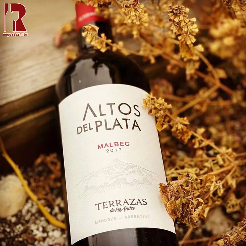 Phương Pháp Sản Xuất Định Hình Cá Tính Terrazas Altos