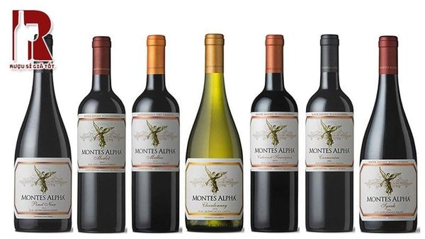 Colchagua Valley