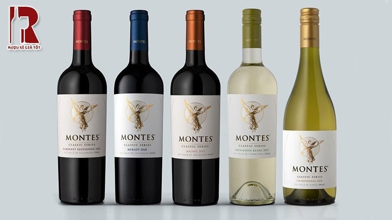Nguồn gốc thương hiệu rượu vang Montes