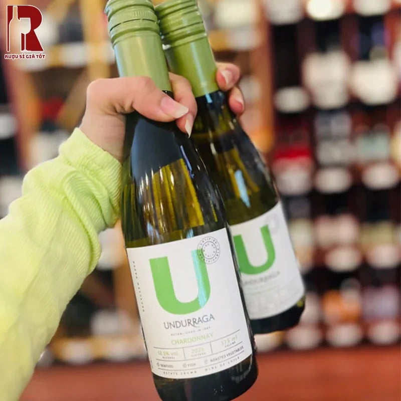 Vang trắng Chile Undur Varietal Chardonnay hoàn hảo để đi với các món thịt trắng như hải sản, thịt gà, cá