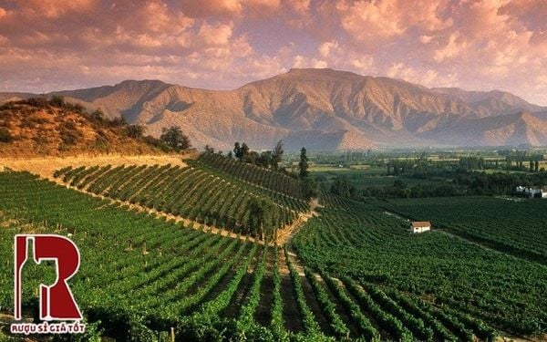 Central Valley