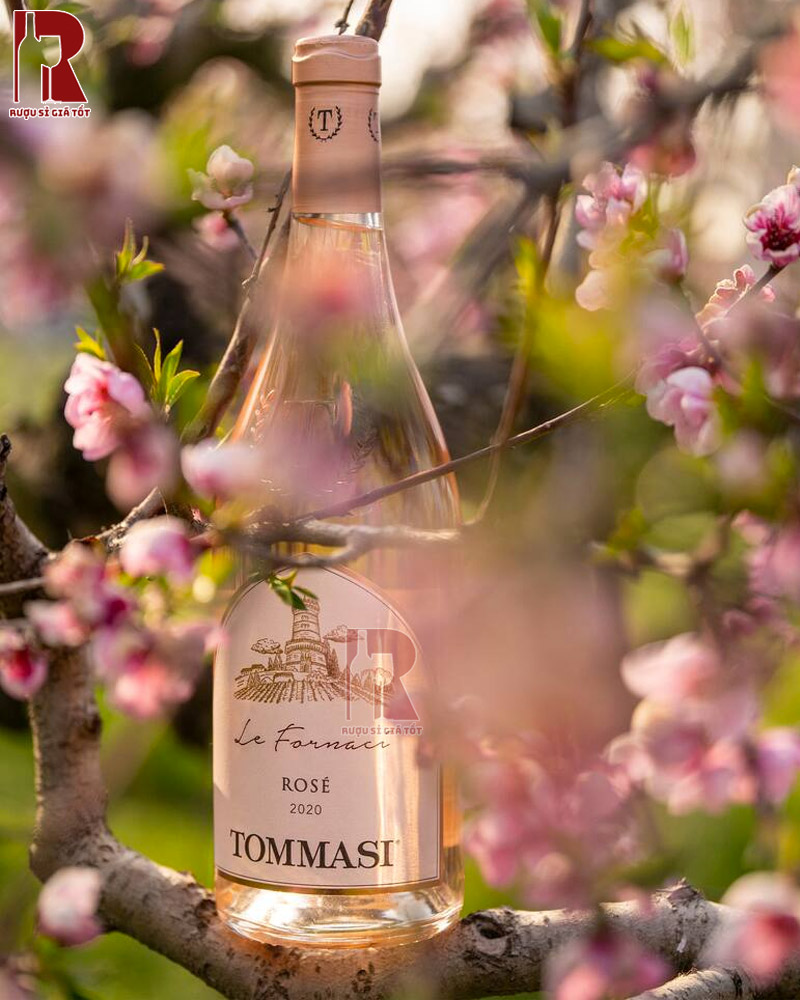 Các cách sử dụng vang Tommasi Le Fornaci Rosé ngon miệng nhất