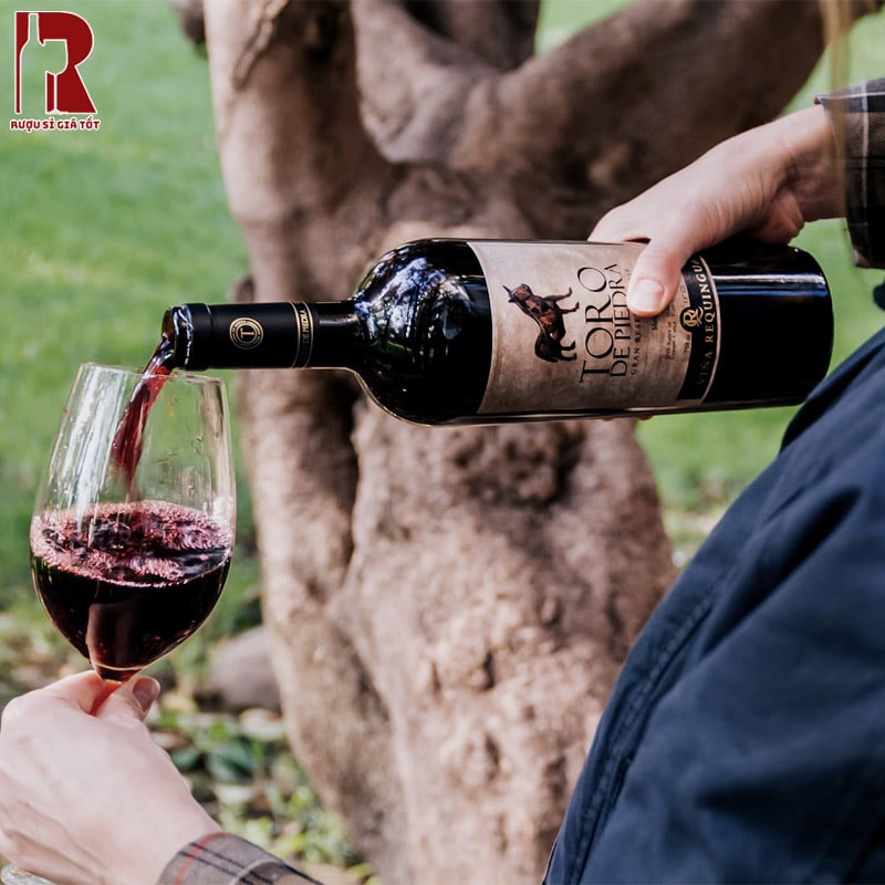 Toro De Piedra Gran Reserva Shiraz Cabernet