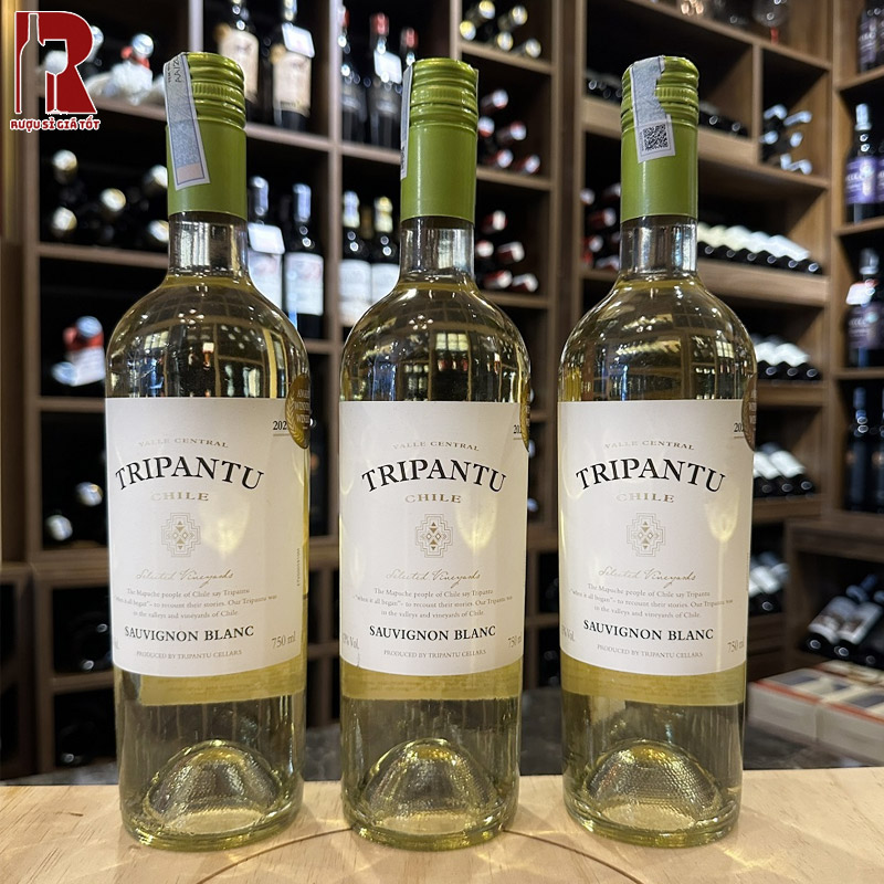 Giới Thiệu Tổng Quan Về Tripantu Sauvignon Blanc