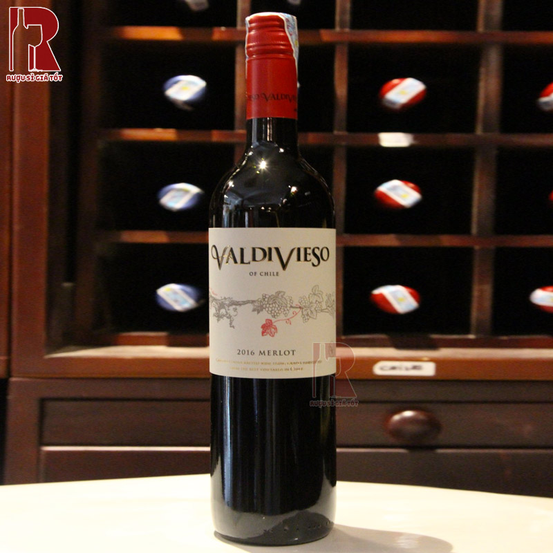 Quy trình sản xuất vang Valdivieso Classic Merlot tinh tế