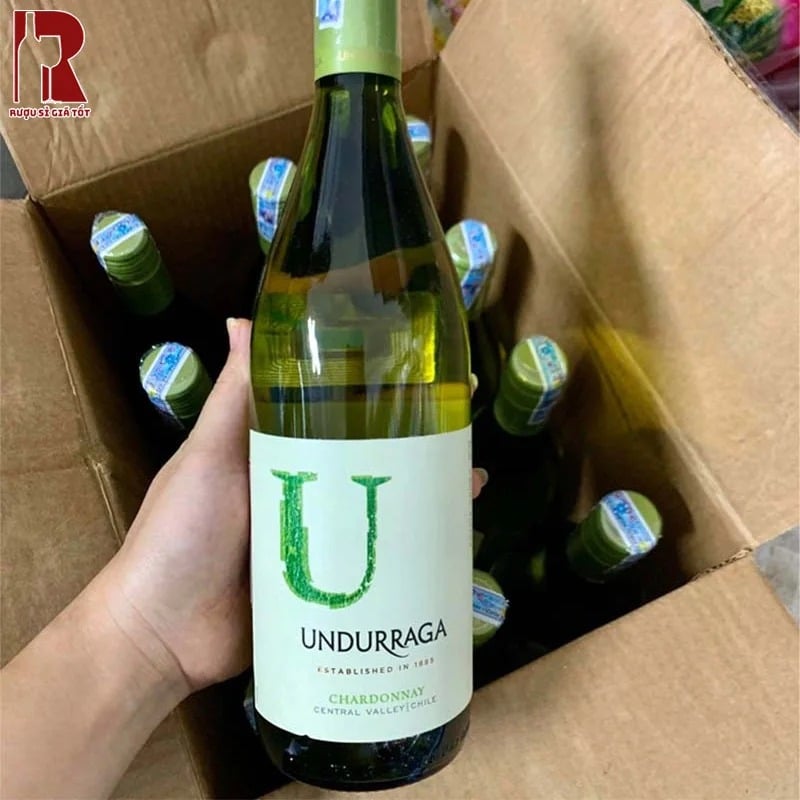 Vang trắng Chile Undur Varietal Chardonnay có màu xanh nhẹ trong suốt, tươi mát