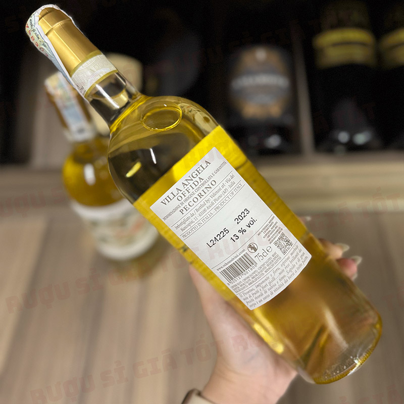 Hương Vị Tươi Mát Và Giàu Cảm Xúc Của Villa Angela Pecorino