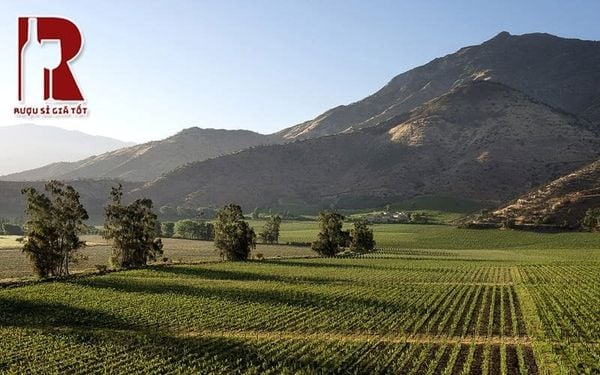 Central Valley