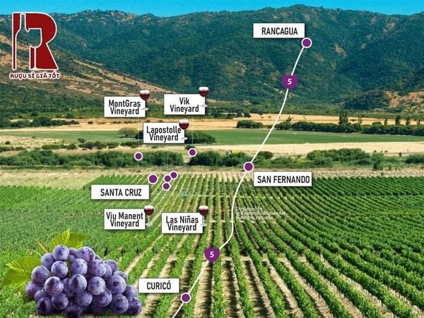 Colchagua Valley