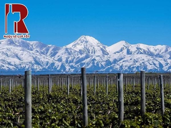 Mendoza