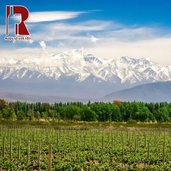 Mendoza