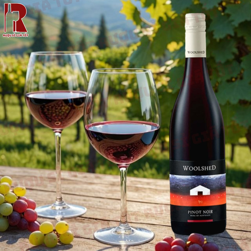 Chai Woolshed Pinot Noir sẽ đem đến các tầng hương thơm vô cùng phong phú