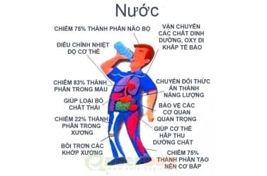 Tầm Quan Trọng Của Nước Sạch Đối Với Sức Khỏe Con Người
