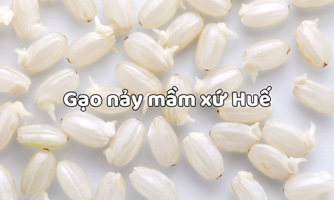 Gạo nảy mầm xứ Huế: Nông sản sạch từ vùng đất di sản