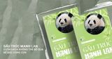 Gấu Trúc Manh Lan - Cuốn Sách Không Thể Bỏ Qua Để Đọc Cùng Con