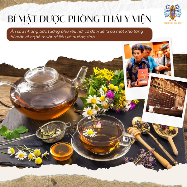 BÍ MẬT ĐƯỢC PHÒNG THÁI Y VIỆN: KHI VỎ QUÝT ĐỂ ĐẾN 20 NĂM VÀ NHỤY SEN TRỞ THÀNH 'NGỰ TỬU'