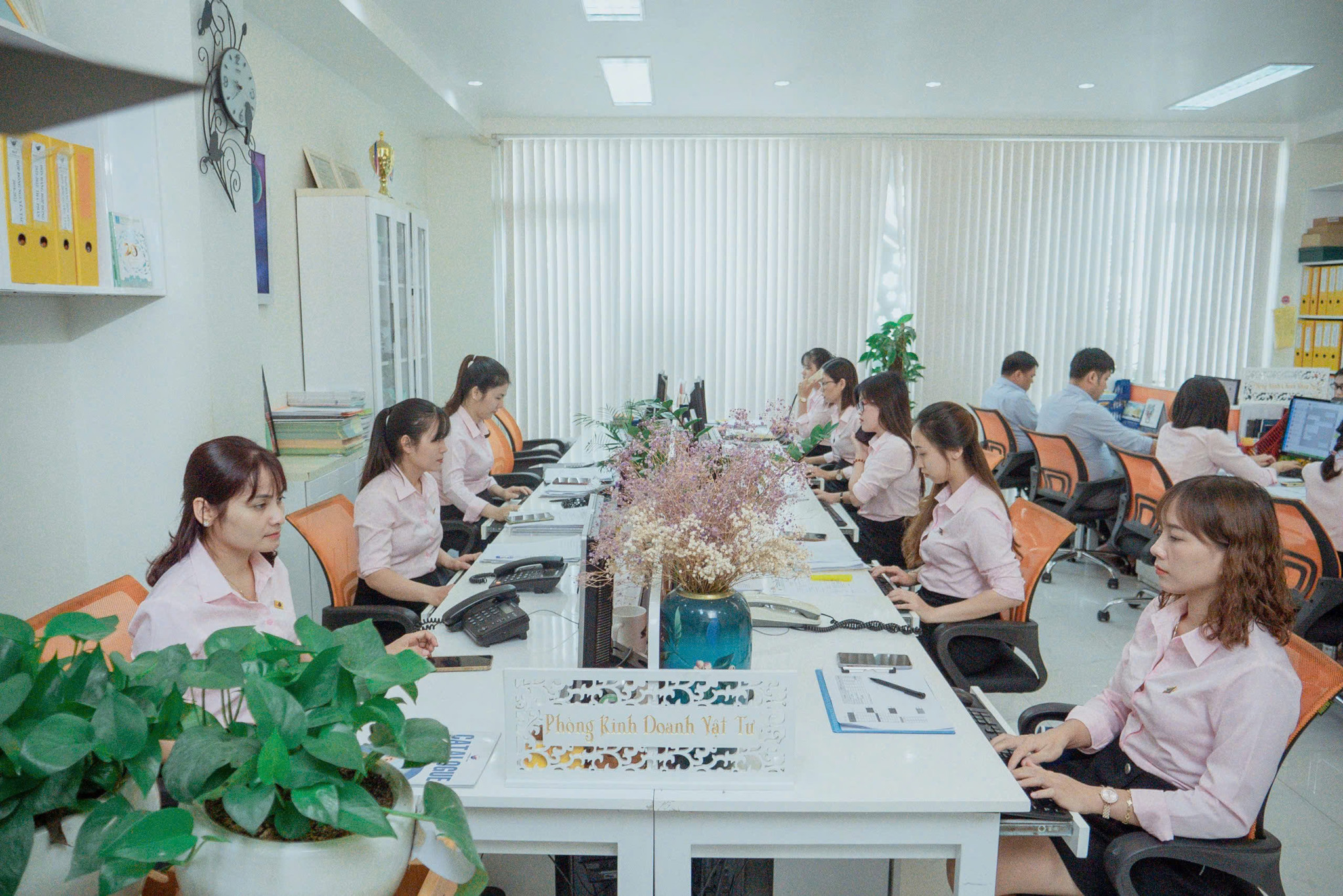 Xin chào, chúng tôi là Vinasea!