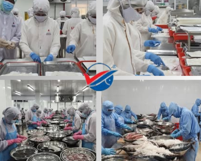 Sự đa dạng trog ngành chế biến thực phẩm