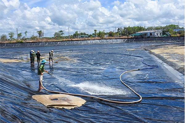 Kỹ Thuật Xử Lý Ao Trước Khi Thả Giống – Bước Nền Tảng Cho Vụ Mới