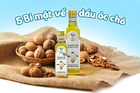 5 Bí Mật Về Dầu Óc Chó Ăn Dặm – Mẹ Nhất Định Phải Biết!