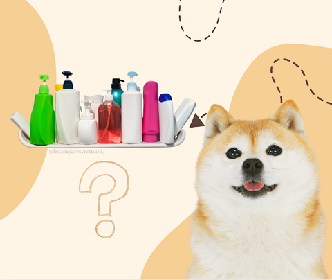 Sữa Tắm Cho Chó Loại Nào Tốt? Hướng Dẫn Chọn Sản Phẩm Phù Hợp Cho Từng Giống Chó