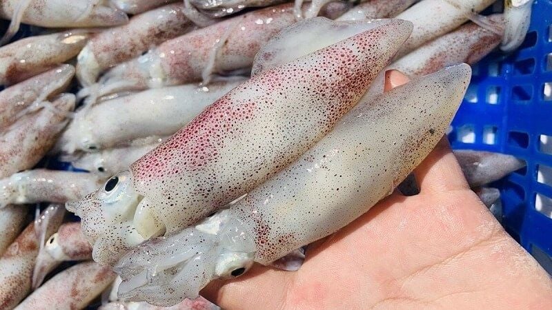 Hấp mực tươi ngon – Bí quyết giữ trọn vị ngọt từ mực tươi hấp