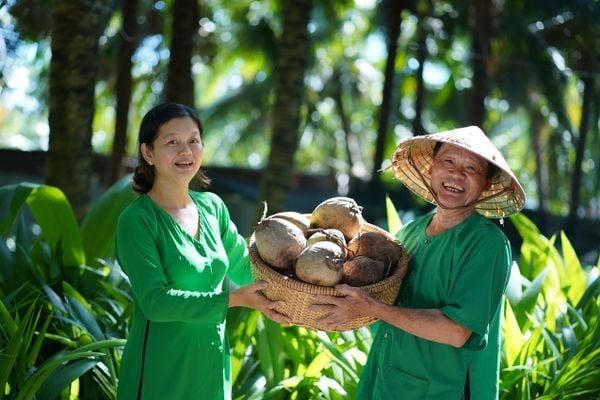 Khám phá hành trình sống Xanh cùng Konus