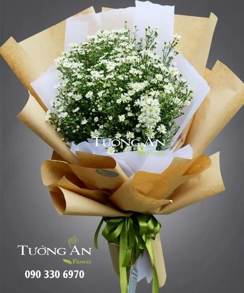 Ý NGHĨA HOA THẠCH THẢO