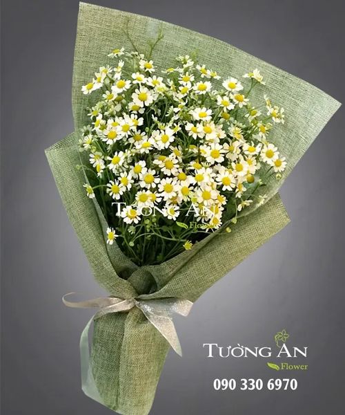 Bó Hoa Cúc Tana