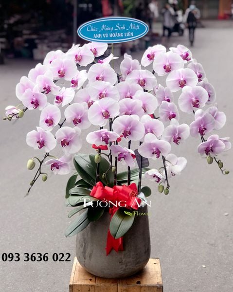 Bình hoa 2 tầng